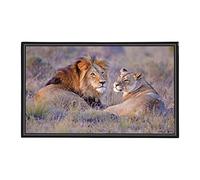 Viquel - Sous main de bureau décoratif Lion - Protection de bureau enfant ou adulte - 59,5x36,2cm - Noir