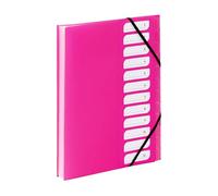 Viquel - Trieur Document A4 avec 12 Compartiments - Organisateur de bureau extensible - Porte document A4 avec index - Fermeture par élastique - Gamme FEEL'EASY - Rose