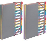 Viquel - Trieur Document A4 avec 12 Compartiments - Organisateur de bureau extensible - Porte document A4 avec index - Fermeture par élastique - Rainbow Touch Gris (Lot de 2)