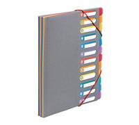 Viquel - Trieur Document A4 avec 12 Compartiments - Organisateur de bureau extensible - Porte document A4 avec index - Fermeture par élastique - Rainbow Touch Gris