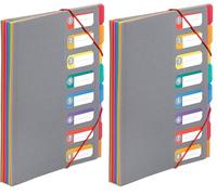 Viquel - Trieur Document A4 avec 8 Compartiments Rainbow Touch Gris (Lot de 2)