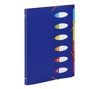 VIQUEL Trieur HAPPY FLUO PP 5/10e 6 touchesFormat A4. Coloris Bleu