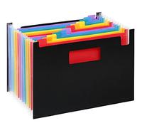 Trieur à 12 compartiments Viquel Rainbow Seatcase Noir
