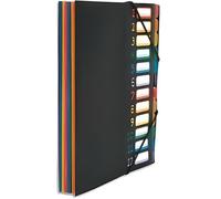 Viquel Rainbow Class - Trieur accordéon 12 compartiments en plastique - Pochette extensible pour classer et transporter des documents - Rangement papier format A4