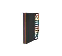 Viquel Trieur Vertical Rainbow 12 Compartiments À Soufflet En Polypro 5/10, Noir