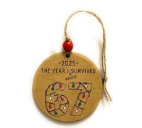 Viral Tiktok 67-2025 - Ornement « The Year I Barely Survived » - Cadeau pour enseignant de la part d'un élève, d'un collègue, d'un enseignant du primaire ou d'un parent qui a entendu 67 ans assez