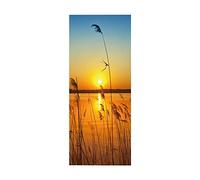 VIRANDA Porte Stickers Auto-adhésif Muraux - Herbe à Roseaux - PVC étanche Porte Autocollants pour Salon Chambre Décoration 80x200 cm