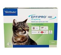 Effipro Duo Chat 1-6 kg 4 pipettes