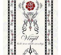 Virgil - Broken Stone Awake Sevendays [Import]