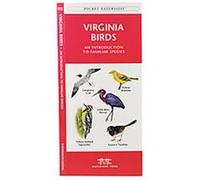 Virginia Birds, Pocket Naturalist Series Kavanagh (Auteur)