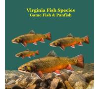 Virginia Game Fish and Panfish Species Kids Book: Great Book About the Different Types of Fish in Virginia