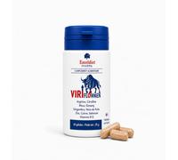 ViriflowMen - Complément Alimentaire Homme | Libido, Énergie Masculine, Vitalité & Endurance | Arginine, Citrulline, Ginseng, Maca, Kola, Gingembre | Vitamine B12 & Minéraux | 60 Gélules