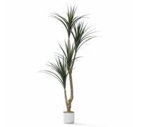 Virimolo Plante Artificielle Yucca 165cm - Dragonnier Artificiel à Feuilles De Fer PEVA/PE - Imitation Réaliste Double Couronne - sans Entretien - Plante d’Intérieur en Pot