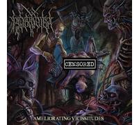 VIROLOGIST - AMELIORATING VICISSITUDES [Import]