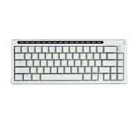 Virtdream R66 65 % activé par la voix et échange à chaud RVB triple mode (2,4 GHz/Bluetooth 5.0/filaire) sans fil, clavier mécanique de contrôle à bouton, touches PBT (blanc lacial, interrupteur