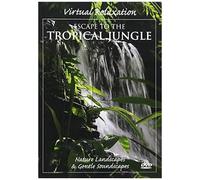 Virtual Relaxation: Escape To The Tropical Jungle