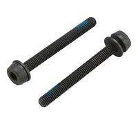 Vis 44 mm pour montage arrière Campagnolo 35-39 mm (x2) Noir