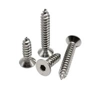 Vis à bois autotaraudeuse à six pans creux hexagonaux en acier inoxydable A2-70 304, 10/50X M2 M2.3 M2.6 M3 M4 M5 M6(16mm,50pcs M2.6)