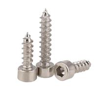 Vis à bois autotaraudeuses à tête hexagonale creuse M2-M6, boulons Allen, acier au carbone de classe 8.8, nickelées(M5x25(10pcs))