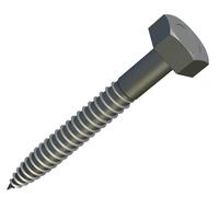 Vis à bois autotaraudeuses M8x100 Lot de 10) A2 Acier Inoxydable Tête autotaraudeuse Vis de fixation Vis à Machine pour Meubles, Travail du Bois Robuste DIN571 (100mm x 13mm)