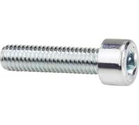 Vis à empreinte hexagonale 839591 100 pc(s) M4 10 mm 6 pans intérieurs acier N/A