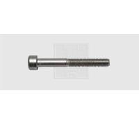 Vis à empreinte hexagonale SWG 9482067 40 pc(s) M8 20 mm 6 pans intérieurs acier inoxydable N/A