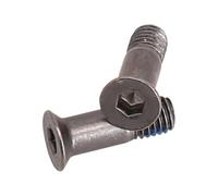 Vis à roulettes M5 x 15,8 mm en acier inoxydable 2 pour STK | Lot de 2 vis en acier inoxydable durables pour une fixation facile des poulies de dérailleur.