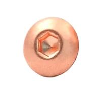 Vis à tête creuse ronde en cuivre pur M3 M4 M5 M6 M8 T2, 1 à 10 pièces, vis à six pans creux avec vis à métaux à hexagone élevé(20mm,M8 (1Pcs))