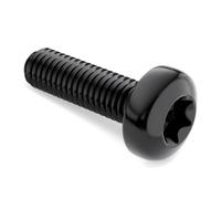 Vis à tête cylindrique Torx M5/M6/M8/M10, boulons à tête ronde Torx internes, 10 pièces, M6x25mm