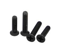 Vis à tête fraisée plate à empreinte cruciforme M1 M1.2 M1.4 M1.6 M2 M2.5 M3 M3.5 M4 M5 Boulon GB819 en acier au carbone noir(10mm,M2.5 50pcs)