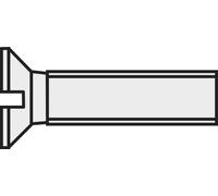 Vis à tête fraisée TOOLCRAFT 839948 10 pc(s) M2.5 10 mm tête fraisée plat plastique, Polyamide N/A