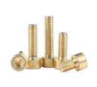 Vis à tête hexagonale creuse en cuivre pur M3 M4 M5 M6 M8 M10 M12(M10x25mm 2pcs)