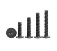 Vis à tête Torx en acier inoxydable 304 A2-70, 5/50 pièces, CM M2 .5 M3 M4 M5 M6 noir, Six lobes Ultra fins et Super plats, vis, boulon numérique(25Pcs M2.5x12mm)