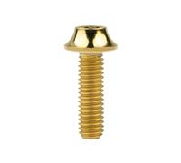 Vis à tête Torx M5 pour support de vélo, titane, M5 x 20 mm