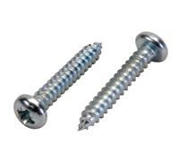 Vis à tole tête bombée cylindrique PZ Ø 5,5 x 25 mm - par 200