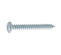 Vis à tôle tête cylindrique large acier zingué blanc DIN 7981 4,2X38 boîte de 500 - - AFB7981AZ4238