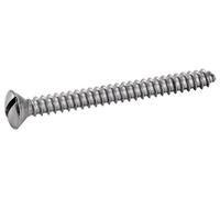 Vis à tôle tête fraisée bombée fendue A2 DIN 7973 4,8X22 boîte de 200 - ACTON - 624044,8X22