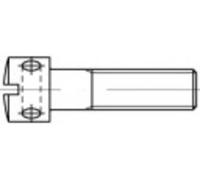 Vis à trou latéral TOOLCRAFT 106395 100 pc(s) M4 6 mm tête cylindrique plat acier N/A