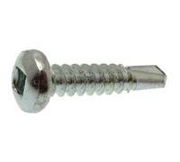 Acton Vis autoperceuse tête cylindrique bombée carrée A2 DIN 7504 M 4,8x32 boîte de 200