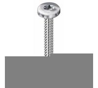 Vis autoperceuses tête cylindrique Torx - 4,2x19 mm - 500 pièces VISWOOD