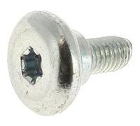 Vis autotaraudeuse pour Taille-haie Bosch