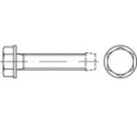Vis autotaraudeuse TOOLCRAFT 141113 1000 pc(s) M5 30 mm tête hexagonale 6 pans extérieurs acier N/A