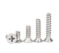 Vis autotaraudeuses à tête fraisée cruciforme en acier inoxydable 304, lot de 100 pièces, M1,7, M2, M2,6, M3, M4, à tête plate(6mm x100pcs,M1.2)