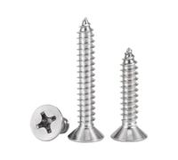 Vis autotaraudeuses à tête fraisée M2 M2.2 M2.6 M3 M3.5 M4 M5 M6 Vis à bois plate à empreinte cruciforme en acier inoxydable 316(70mm,M6-10Pcs)