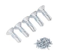 Vis Autotaraudeuses pour Métal, Boulons Autotaraudeurs 50 Pièces Vis Autoperceuse Cruciforme 4,8x16 Mm Vis Autoperceuses en Acier au Carbone Antirouille pour Métal, Plastique et