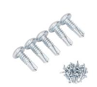 Vis Autotaraudeuses pour Métal, Boulons Autotaraudeurs 50 Pièces Vis Autoperceuse Cruciforme 4,8x16 Mm Vis Autoperceuses en Acier au Carbone Antirouille pour Métal, Plastique et