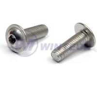 Vis avec PH Allen ISO 7380FL M8x20 A2 - avec collier - Emballage 200 pcs