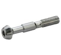 Vis banjo elvedes pour etrier de frein shimano br m985 x2