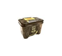 Vis bois/agglo Starblock Torx 4x30 200pcs