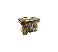 Vis bois/agglo Starblock Torx 4x40 150pcs